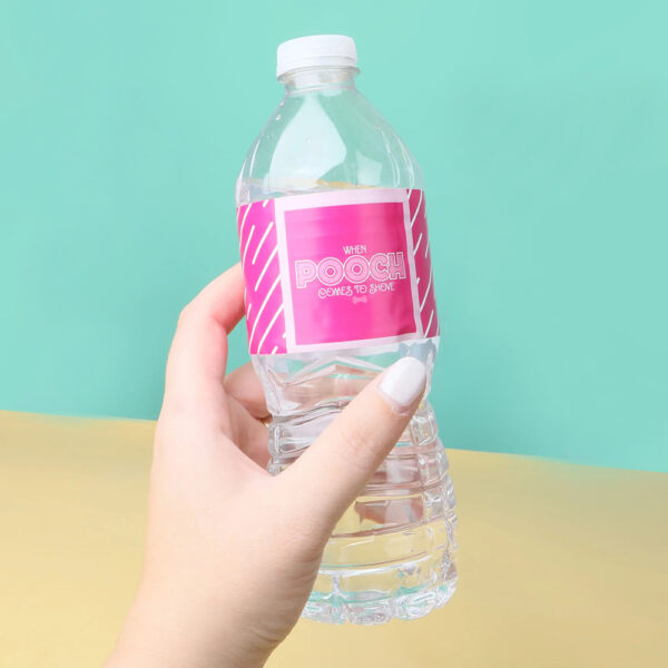 Water Bottle Stickers